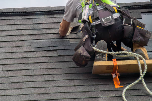 Best Roof Gutter Cleaning  in Beloit, OH