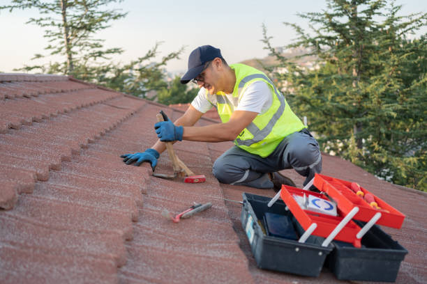 Best Roof Gutter Cleaning  in Beloit, OH